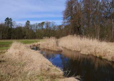 MoorFutures - Projektstand Rehwiese März 2017